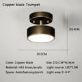 Modern LED Ceiling Light Copper Lamp for Bedroom Living Room Light Nordic round Gold Black Entryway Corridor Aisle Decor Fixture