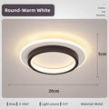 Modern Simple LED Decor Ceiling Light Nordic Luxury Indoor Ceiling Lamp Living Room Aisle Bedroom Creative Metal Ceiling Light