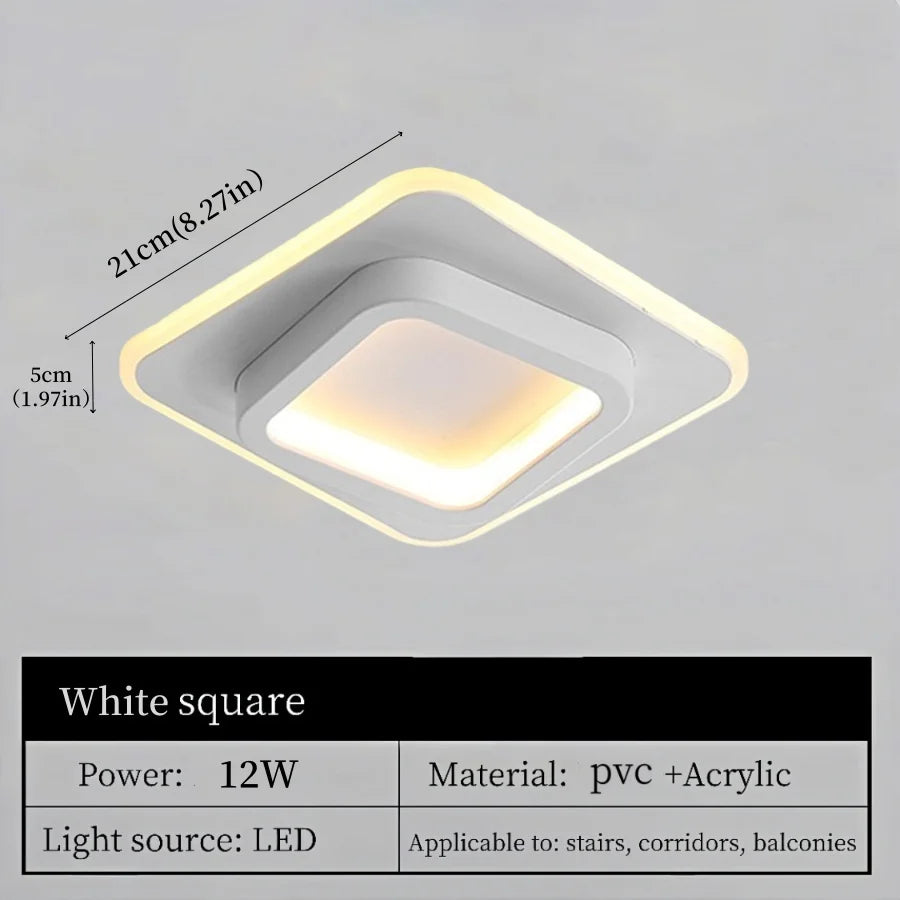 Modern Simple LED Decor Ceiling Light Nordic Luxury Indoor Ceiling Lamp Living Room Aisle Bedroom Creative Metal Ceiling Light