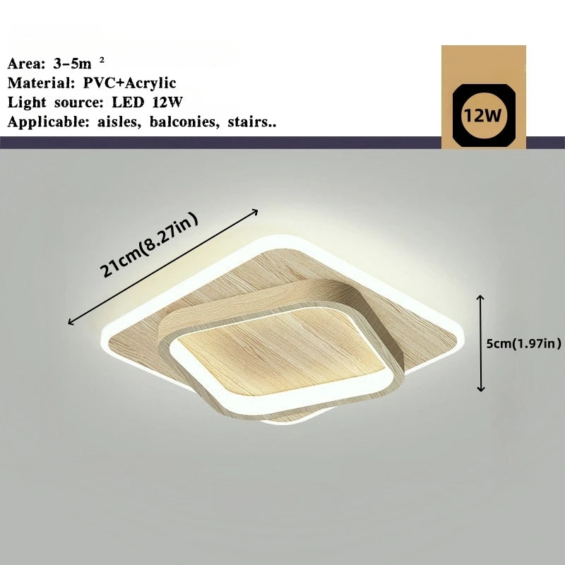 Modern Simple LED Decor Ceiling Light Nordic Luxury Indoor Ceiling Lamp Living Room Aisle Bedroom Creative Metal Ceiling Light