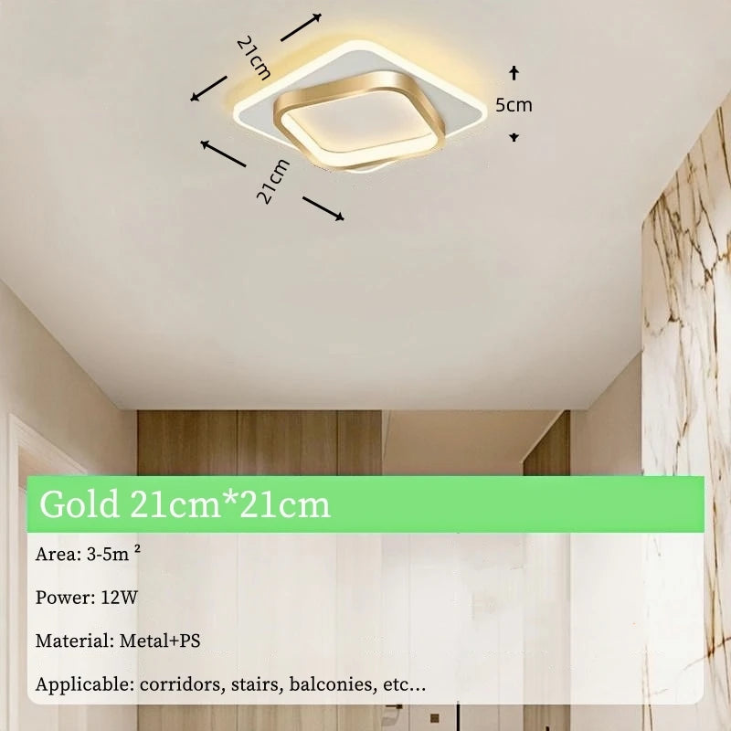 Modern Simple LED Decor Ceiling Light Nordic Luxury Indoor Ceiling Lamp Living Room Aisle Bedroom Creative Metal Ceiling Light