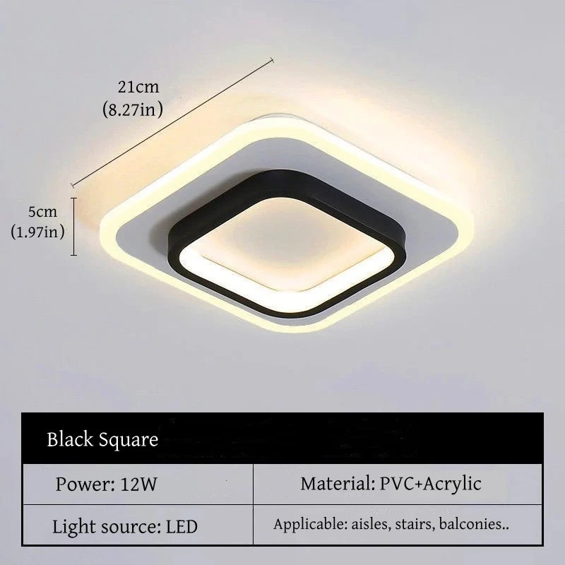 Modern Simple LED Decor Ceiling Light Nordic Luxury Indoor Ceiling Lamp Living Room Aisle Bedroom Creative Metal Ceiling Light