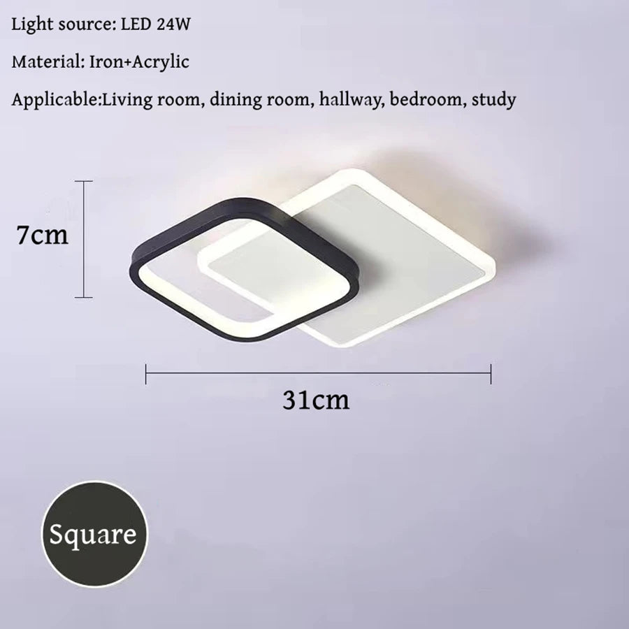 Modern Simple LED Decor Ceiling Light Nordic Luxury Indoor Ceiling Lamp Living Room Aisle Bedroom Creative Metal Ceiling Light