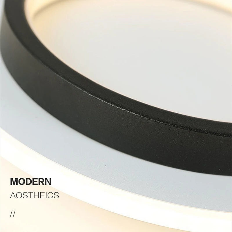Modern Simple LED Decor Ceiling Light Nordic Luxury Indoor Ceiling Lamp Living Room Aisle Bedroom Creative Metal Ceiling Light