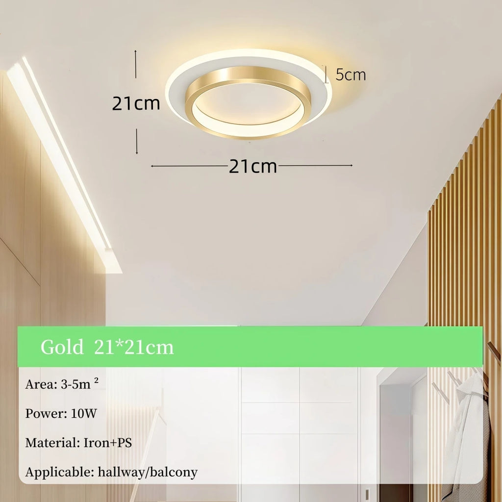 Modern Simple LED Decor Ceiling Light Nordic Luxury Indoor Ceiling Lamp Living Room Aisle Bedroom Creative Metal Ceiling Light