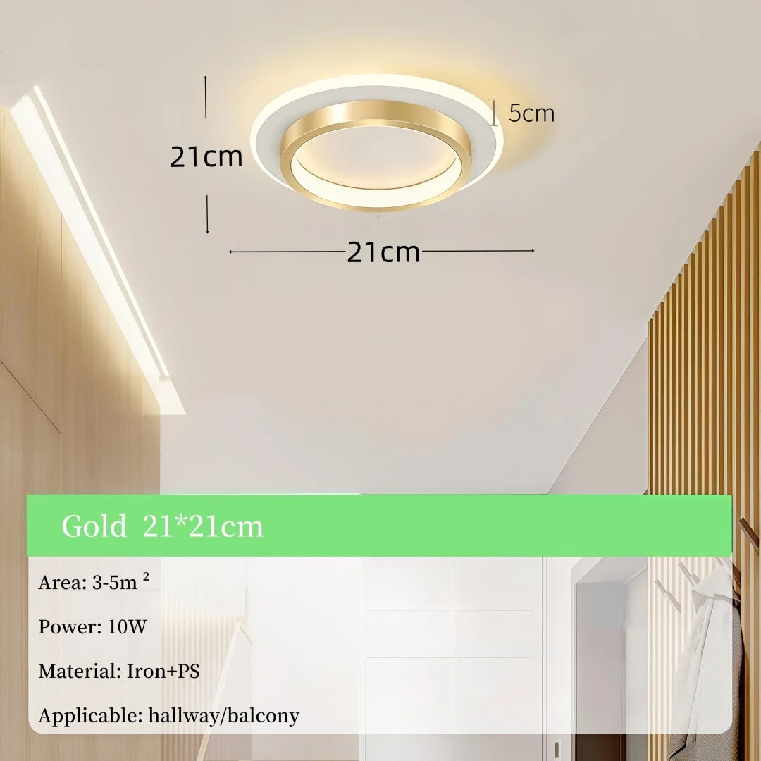 Modern Simple LED Decor Ceiling Light Nordic Luxury Indoor Ceiling Lamp Living Room Aisle Bedroom Creative Metal Ceiling Light