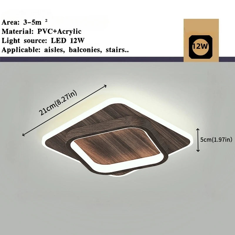 Modern Simple LED Decor Ceiling Light Nordic Luxury Indoor Ceiling Lamp Living Room Aisle Bedroom Creative Metal Ceiling Light