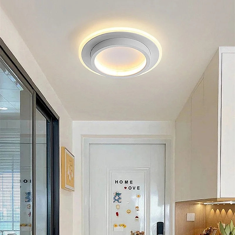 Modern Simple LED Decor Ceiling Light Nordic Luxury Indoor Ceiling Lamp Living Room Aisle Bedroom Creative Metal Ceiling Light