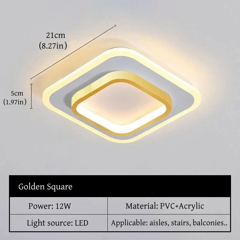 Modern Simple LED Decor Ceiling Light Nordic Luxury Indoor Ceiling Lamp Living Room Aisle Bedroom Creative Metal Ceiling Light
