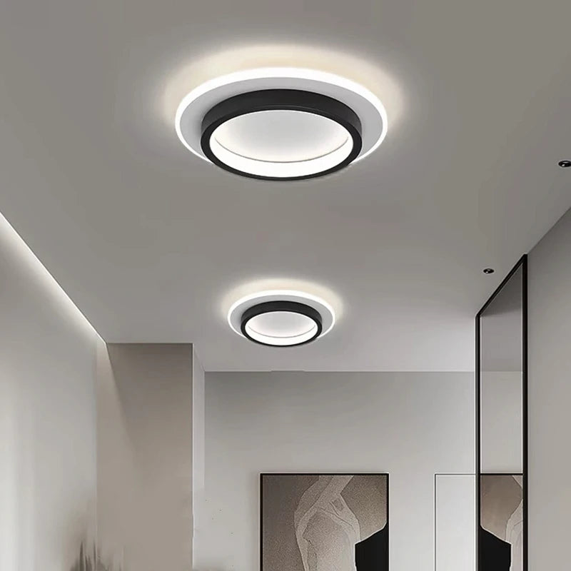 Modern Simple LED Decor Ceiling Light Nordic Luxury Indoor Ceiling Lamp Living Room Aisle Bedroom Creative Metal Ceiling Light