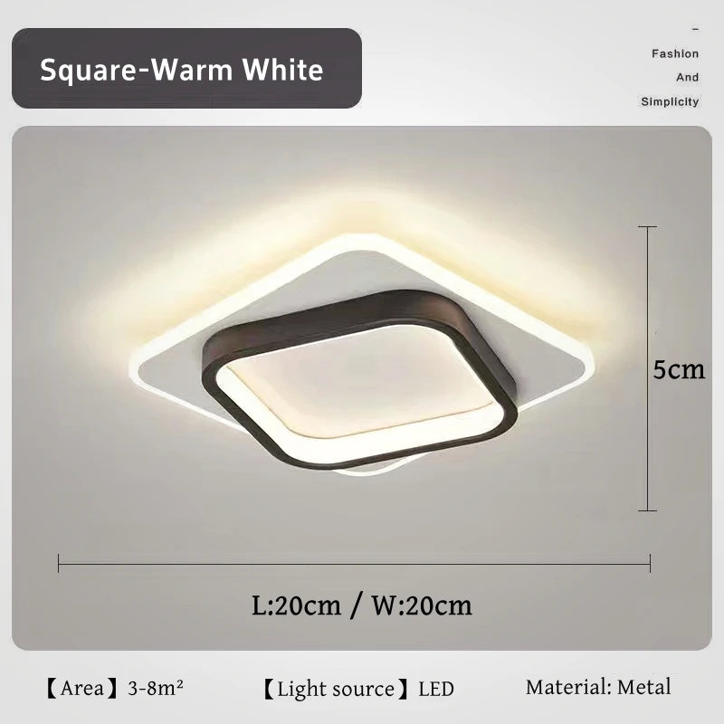 Modern Simple LED Decor Ceiling Light Nordic Luxury Indoor Ceiling Lamp Living Room Aisle Bedroom Creative Metal Ceiling Light