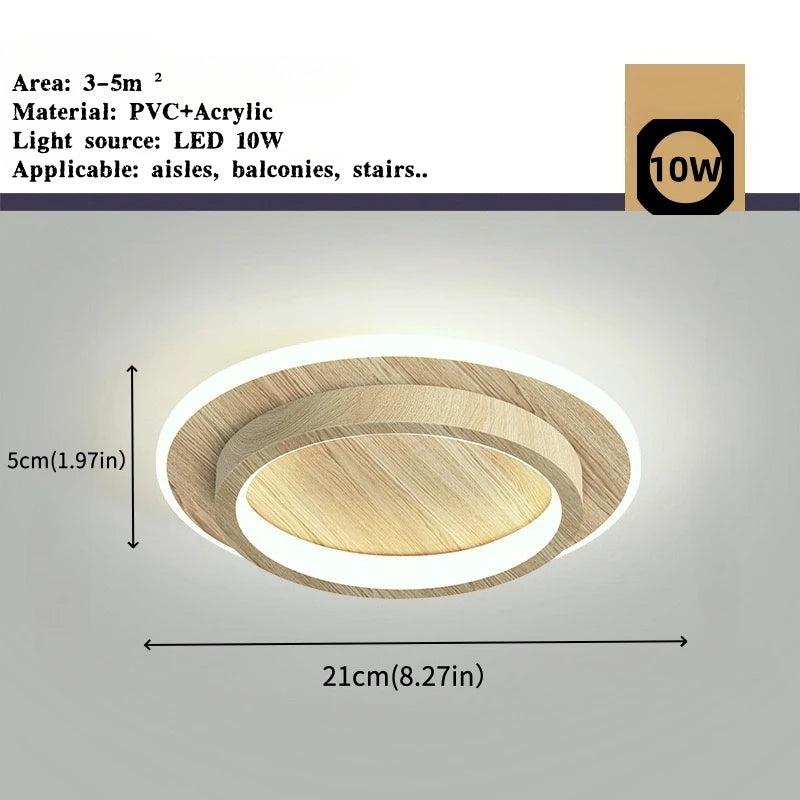 Modern Simple LED Decor Ceiling Light Nordic Luxury Indoor Ceiling Lamp Living Room Aisle Bedroom Creative Metal Ceiling Light